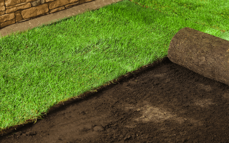 Sod Installation Services in Tontitown, AR